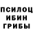 Галлюциногенные грибы Psilocybine cubensis Anton Ar