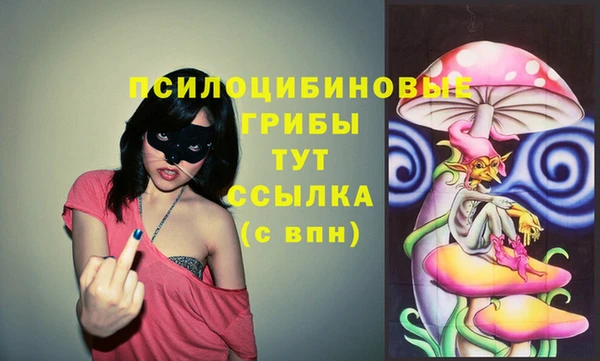 сатива Алексеевка
