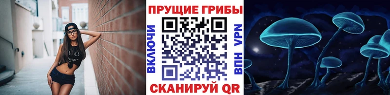 Псилоцибиновые грибы Psilocybine cubensis  закладка  Тайшет 