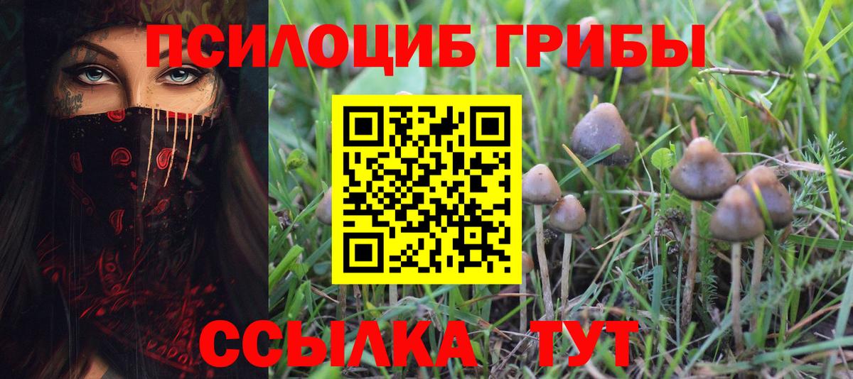 Галлюциногенные грибы GOLDEN TEACHER  Псилоцибиновые грибы Cubensis  Вход с VPN  Тайшет 