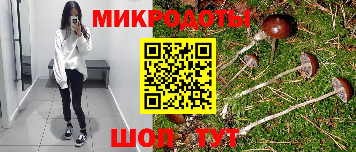 Псилоцибиновые грибы GOLDEN TEACHER Тайшет