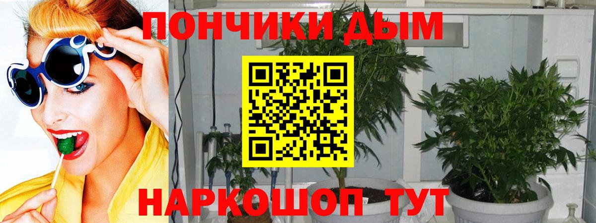 Бошки марихуана Bruce Banner  Вход с VPN  Канабис сатива  Тайшет  Канабис Ganja  Каннабис AK-47 